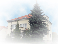 D D Mikulov